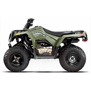 2006 - 2007 POLARIS SAWTOOTH 200